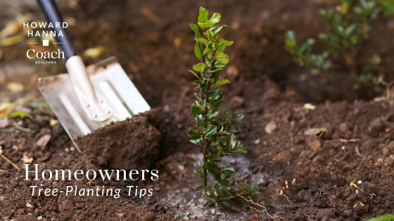 Planting a Tree - Homeownership - Coach Realtors